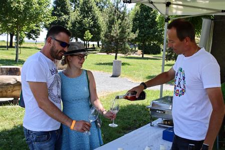 VOC Vinice * Putování vinicemi za víny VOC - nultý ročník 2021