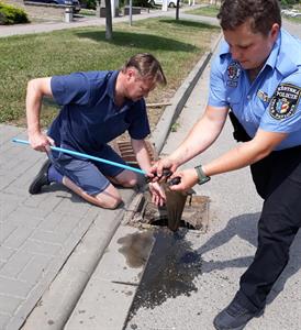 Městská policie * Zachráněná káčátka