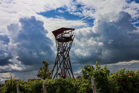 Město Velké Pavlovice * Nové orientační cedule na ochozu rozhledny Slunečná