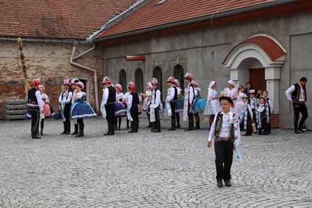 Město Velké Pavlovice * Velkopavlovické vinobraní ve fotografiích