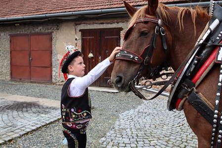 Město Velké Pavlovice * Velkopavlovické vinobraní ve fotografiích