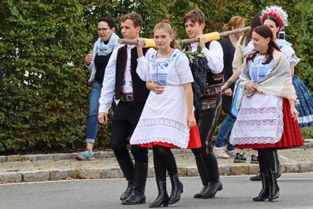 Město Velké Pavlovice * Velkopavlovické vinobraní ve fotografiích