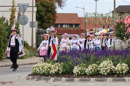 Město Velké Pavlovice * Velkopavlovické vinobraní ve fotografiích