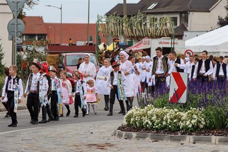 Město Velké Pavlovice * Velkopavlovické vinobraní ve fotografiích