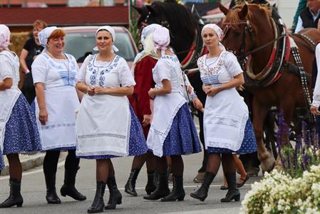 Město Velké Pavlovice * Velkopavlovické vinobraní ve fotografiích