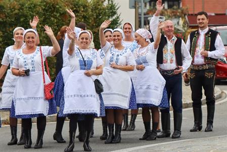 Město Velké Pavlovice * Velkopavlovické vinobraní ve fotografiích