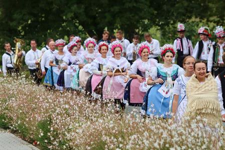 Město Velké Pavlovice * Velkopavlovické vinobraní ve fotografiích