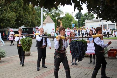 Město Velké Pavlovice * Velkopavlovické vinobraní ve fotografiích