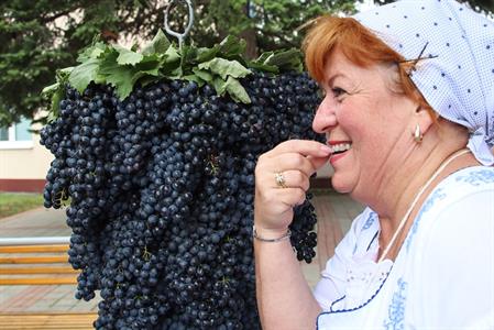 Město Velké Pavlovice * Velkopavlovické vinobraní ve fotografiích