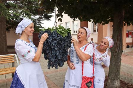 Město Velké Pavlovice * Velkopavlovické vinobraní ve fotografiích