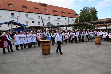 Město Velké Pavlovice * Velkopavlovické vinobraní ve fotografiích