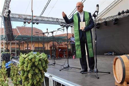 Město Velké Pavlovice * Velkopavlovické vinobraní ve fotografiích