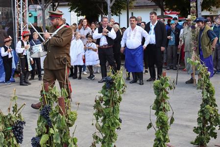 Město Velké Pavlovice * Velkopavlovické vinobraní ve fotografiích