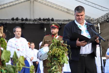 Město Velké Pavlovice * Velkopavlovické vinobraní ve fotografiích