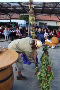 Město Velké Pavlovice * Velkopavlovické vinobraní ve fotografiích