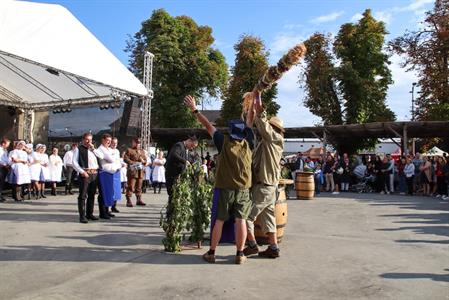 Město Velké Pavlovice * Velkopavlovické vinobraní ve fotografiích