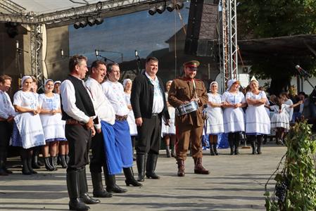 Město Velké Pavlovice * Velkopavlovické vinobraní ve fotografiích