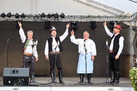 Město Velké Pavlovice * Velkopavlovické vinobraní ve fotografiích