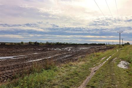 Město Velké Pavlovice * V lokalitě Záblatská bude nové biocentrum