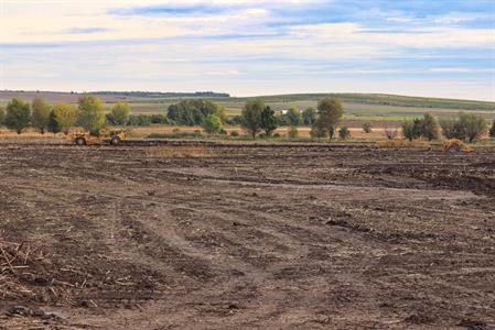 Město Velké Pavlovice * V lokalitě Záblatská bude nové biocentrum