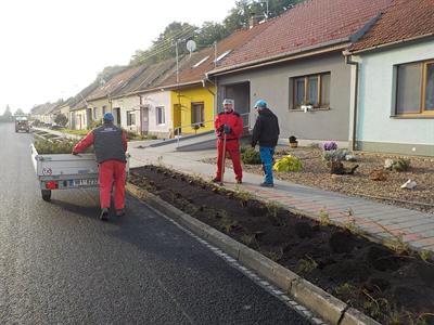 Služby města * Výsadba zeleně v ulici Pod Břehy