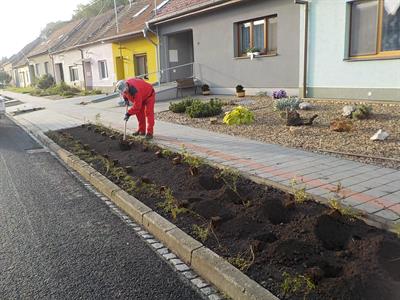 Služby města * Výsadba zeleně v ulici Pod Břehy