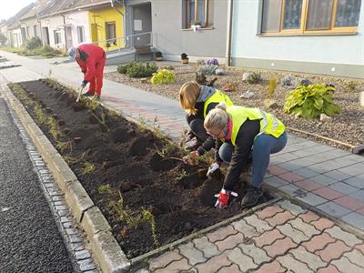 Služby města * Výsadba zeleně v ulici Pod Břehy