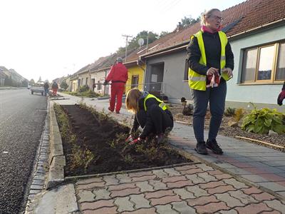 Služby města * Výsadba zeleně v ulici Pod Břehy