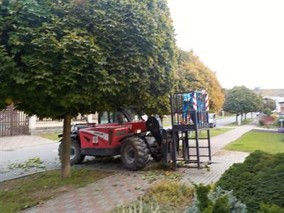 Služby města * Péče o městskou zeleň