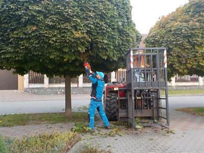 Služby města * Péče o městskou zeleň