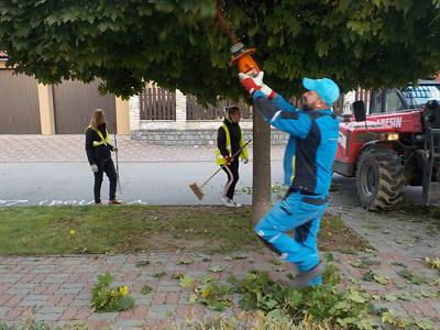 Služby města * Péče o městskou zeleň