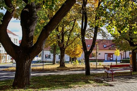 Město Velké Pavlovice * Podzim hýřící barvami