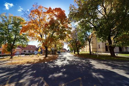 Město Velké Pavlovice * Podzim hýřící barvami