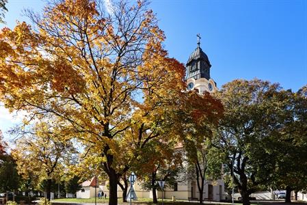 Město Velké Pavlovice * Podzim hýřící barvami