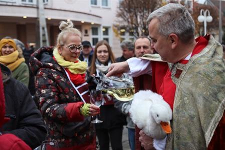 Víno z Velkých Pavlovic * SVATOMARTINSKÉ OTEVŘENÉ SKLEPY 2021 * II