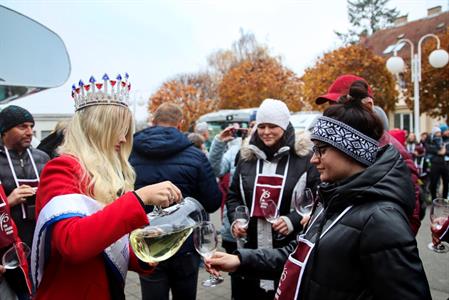 Víno z Velkých Pavlovic * SVATOMARTINSKÉ OTEVŘENÉ SKLEPY 2021 * II