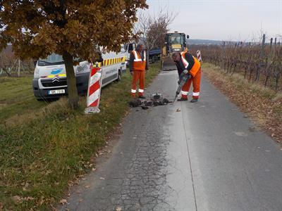 Město velké Pavlovice * Cyklostezka pod rozhlednou se dočkala opravy