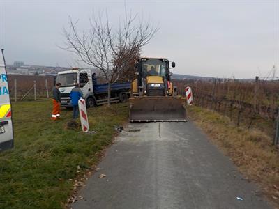 Město velké Pavlovice * Cyklostezka pod rozhlednou se dočkala opravy