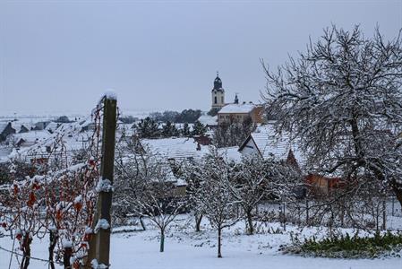Město Velké Pavlovice * S prvním adventem i první sníh