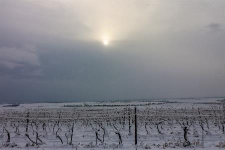 Město Velké Pavlovice * S prvním adventem i první sníh