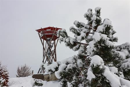 Město Velké Pavlovice * S prvním adventem i první sníh