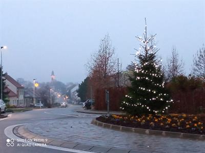 Město Velké Pavlovice * Vánoční stromeček před radnicí se rozsvítil