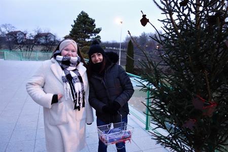 Mateřská škola * Adventní čas a přípravy na Vánoce