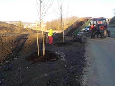 Služby města * Rozvoz mulče - ochrana stromků před mrazem