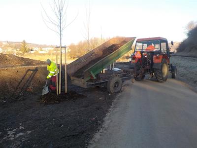 Služby města * Rozvoz mulče - ochrana stromků před mrazem