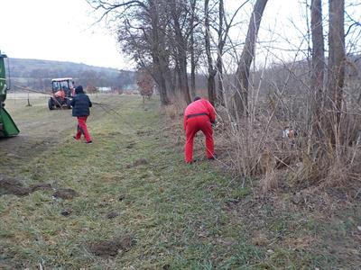 Služby města * Údržba krajiny v lokalitě biocentra Zahájka