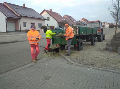 Služby města * Vánoční stromky ještě poslouží