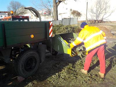 Služby města * Vánoční stromky ještě poslouží