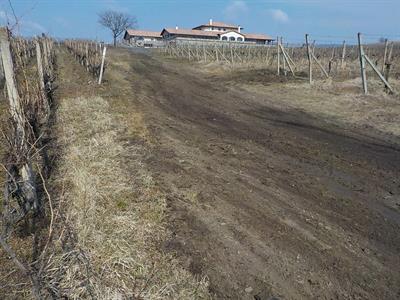 Služby města * Oprava polních cest v tratích Pod Poštory a Nad Zahrady