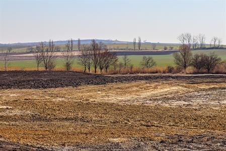 Město Velké Pavlovice * Rybník v novém biocentru Záblatská čeká na vodu